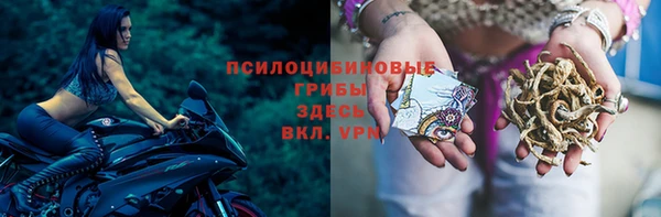 ГАЛЛЮЦИНОГЕННЫЕ ГРИБЫ Аркадак
