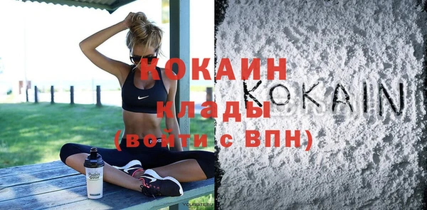 ешки Арсеньев