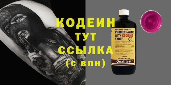 ГАЛЛЮЦИНОГЕННЫЕ ГРИБЫ Аркадак