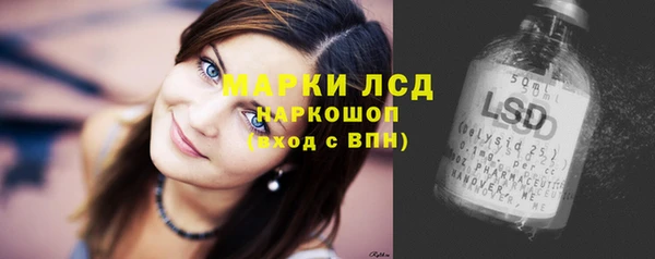 ГАЛЛЮЦИНОГЕННЫЕ ГРИБЫ Аркадак